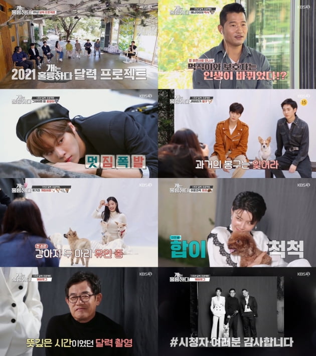 '개는 훌륭하다' 1주년 특집/ 사진=KBS2 제공