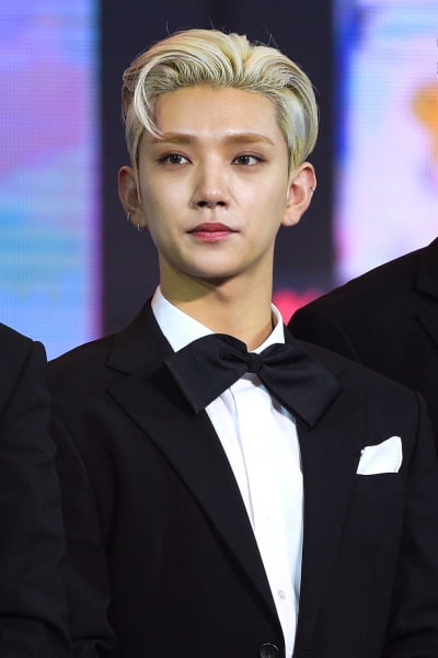 [TEN 포토] '2020 대중문화예술상' 세븐틴 조슈아, '완벽한 귀공자 비주얼'