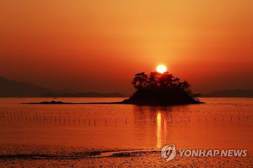 "거닐며 마음의 평화를"…코로나 시대 주목받는 생태도시 순천