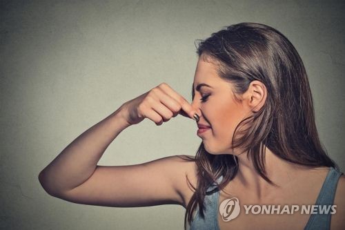 제주시 곳곳에서 원인 모를 악취 신고 속출…소방당국 조사