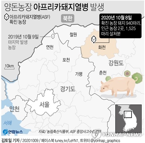 "ASF 감염 폐사체 자주 발견되더니"…역시 멧돼지 전파 가능성