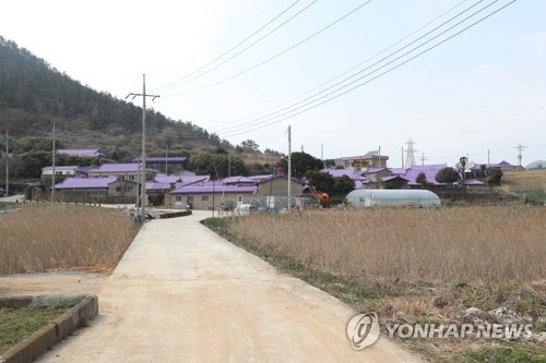 '색채·꽃 이어 섬 없는 도시에 분양?'…신안군 특별한 섬 홍보