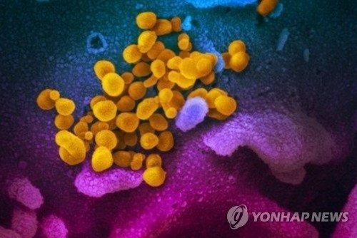 가글이 코로나19 막아줄까…전문가들 '섣부르다' 판단 보류