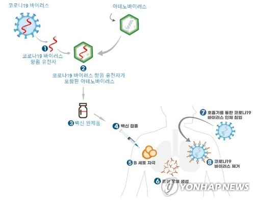 코로나백신 개발 선도 영 옥스퍼드대 백신, 미 제동에 직격탄