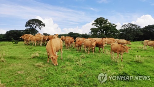 "대규모 개발사업으로 제주 농지·초지 여의도 4.3배 사라져"