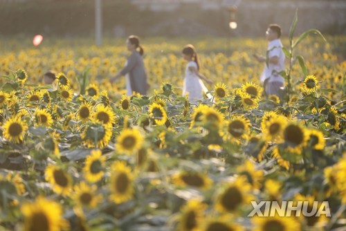 中국경절 연휴 첫 나흘 4억여명 여행…작년 78% 수준