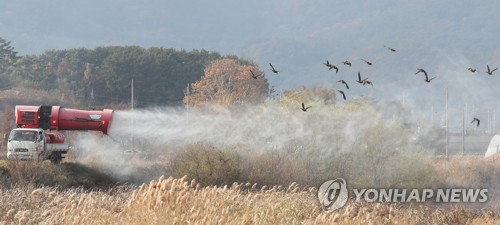 '따오기 고장' 창녕군 AI·구제역 특별방역 강화한다