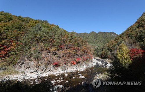 '동면·남면' 일제 잔재인 방위식 지명 양구에서 사라진다