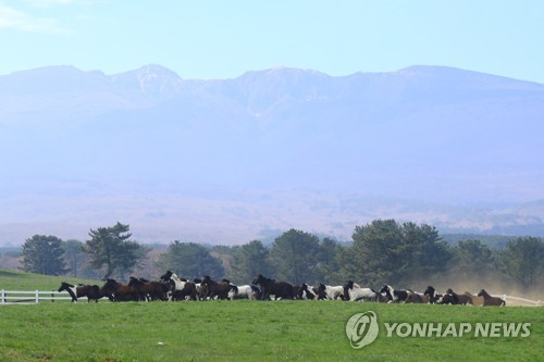 "대규모 개발사업으로 제주 농지·초지 여의도 4.3배 사라져"(종합)