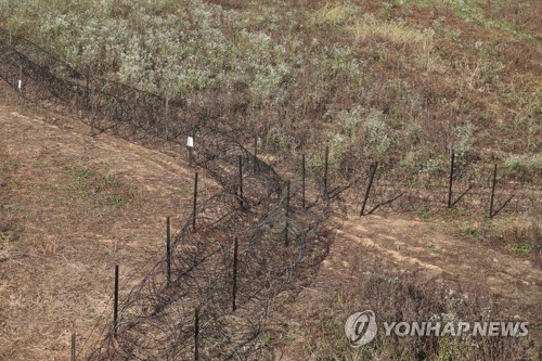 'ASF 막자'…경기도 올해 야생멧돼지 1만78마리 포획