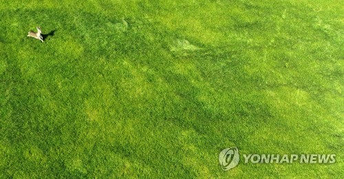 "대규모 개발사업으로 제주 농지·초지 여의도 4.3배 사라져"(종합)