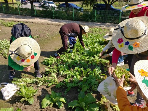 서울시농업기술센터, 치매 환자 치유농장 프로그램 운영