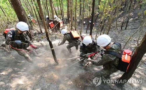 강원 동해안에 산불 잡는 '육군 특수진화대' 뜬다