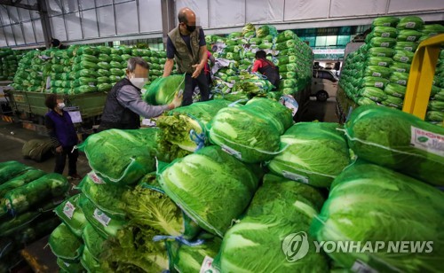 '들쭉날쭉' 배춧값…연중 최고·최저가 6.8배 차이