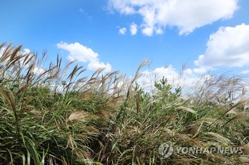 [내주날씨] 전국 대체로 맑고 아침기온 10도 안팎으로 '뚝'