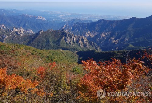 강원 동해안 '추캉스' 인파…울긋불긋 가을산 단풍객 북적