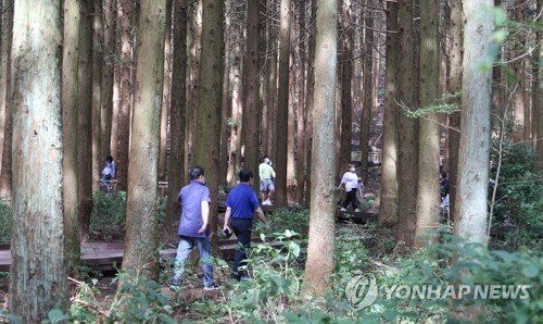 한글날 연휴 제주 관광객 추석 때보다 더 많다