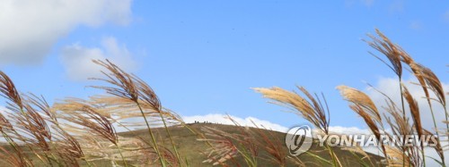 한글날 연휴 제주 관광객 추석 때보다 더 많다