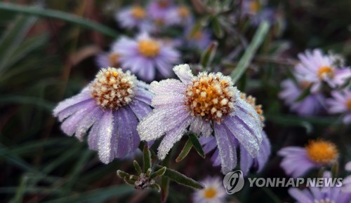 '벌써 겨울 왔나' 내일도 쌀쌀한 아침…일교차 10도 이상