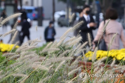 한글날 중부 아침기온 5도 이하로 '뚝'…낮기온 20도 안팎