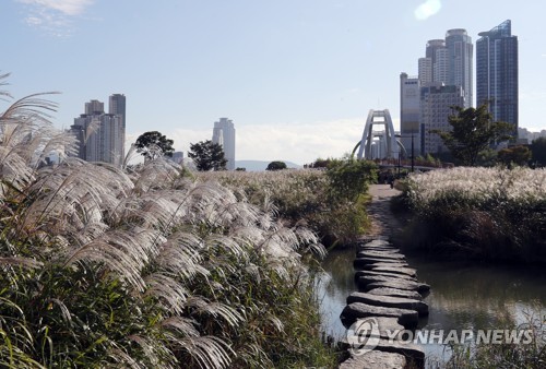 한국 강의 날 울산대회 개막…31일까지 하천 활동가 축제