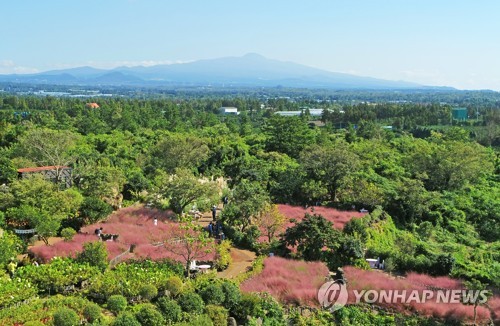 제주 육·해상 강한 바람…"항공기·선박 운항 차질 예상"