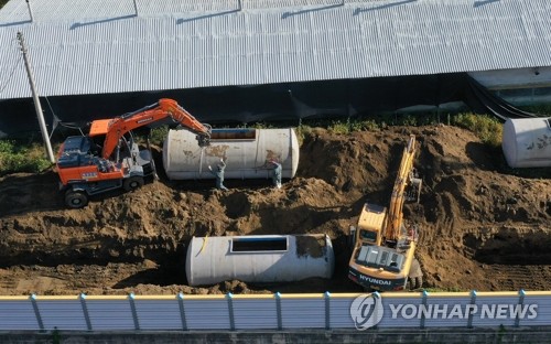 "방역 열심히 했는데" 화천 아프리카돼지열병 발생에  '허탈'