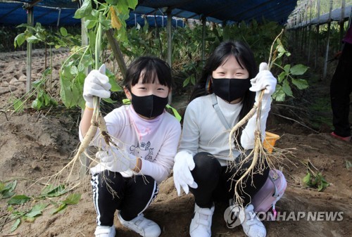 제39회 금산인삼축제 개막…온라인 위주로 열흘간 열려