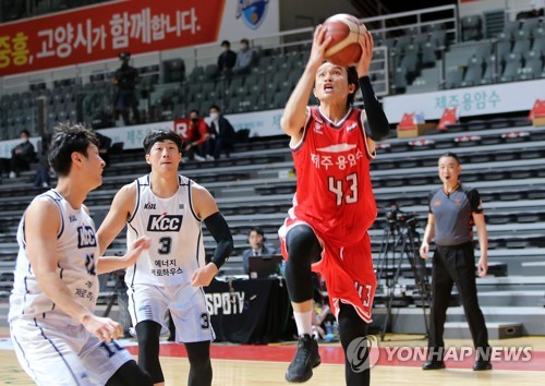 야구·축구 다음주부터 관중 입장…농구·배구 '조만간 확정'