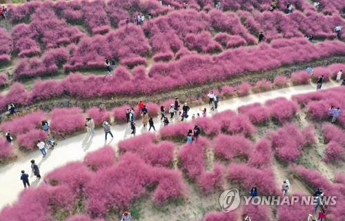 대구·경북 흐리고 오전에 곳에 따라 비…청송에는 짙은 안개