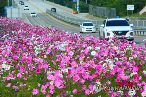 인제로 향하는 국도에 감응신호시스템 연장…"15분가량 단축"