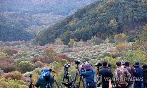 "앗! 왜 이렇게 추워" 올가을 최저기온에 전국이 '덜덜'