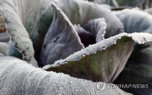 '춥다 추워' 강원 추위 절정…양구 해안 영하 5도