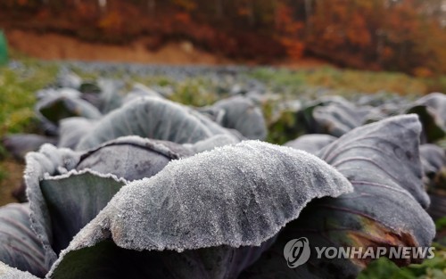 [내일날씨] 전국 맑고 아침에는 쌀쌀…중부·경북 내륙 서리