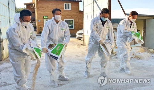 아프리카돼지열병에 고병원성 AI까지 가축방역 '비상'