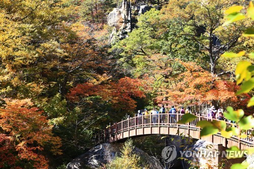 사회적 거리두기 완화 첫 휴일…유명산·관광지에 나들이객 붐벼