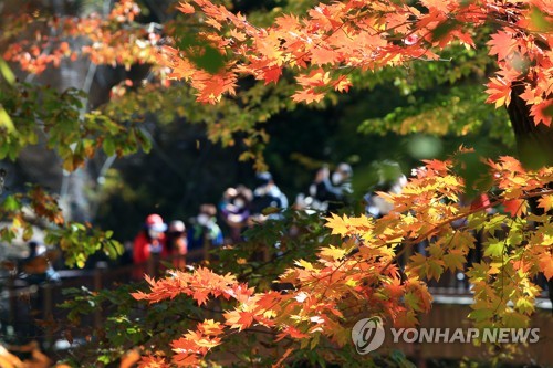 사회적 거리두기 완화 첫 휴일…유명산·관광지에 나들이객 붐벼