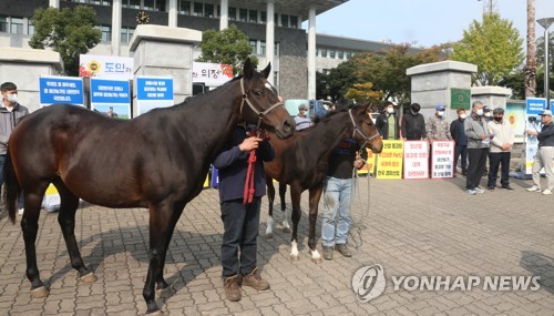 경주마 육성농가 "경마 장기간 중단, 운영난에 줄도산 위기"