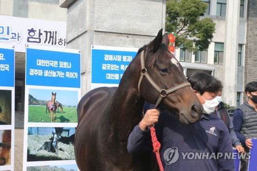 경주마 육성농가 "경마 장기간 중단, 운영난에 줄도산 위기"