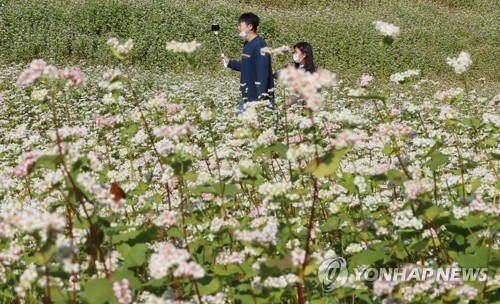 부산 일교차 크고 '쌀쌀'…내일 비소식