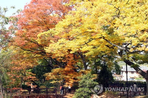 내일 오후 남부지방 등 가을비…그치면 추운 날씨 이어져