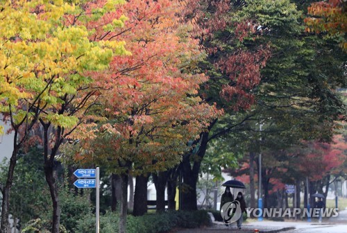 메마른 10월…서울서 30년 만에 처음으로 하루도 비 안 와