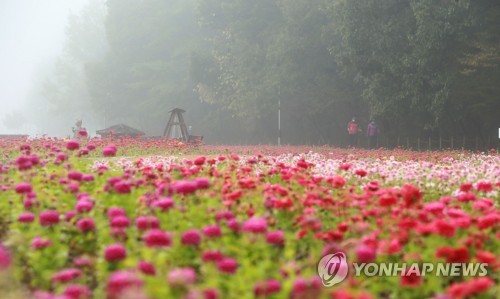 내일 아침 짙은 안개…기온 내려가고 바람 불어 체감온도 '뚝'