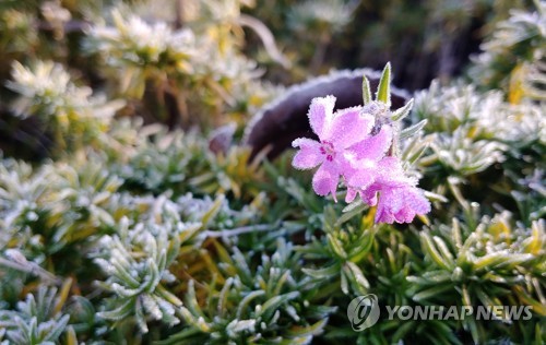 아침 추위 절정…강원·충북·경북 북부 한파특보