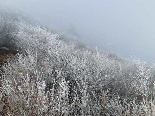 [날씨] 일요일 아침 기온 5도 안팎…중부·경북 내륙 영하권