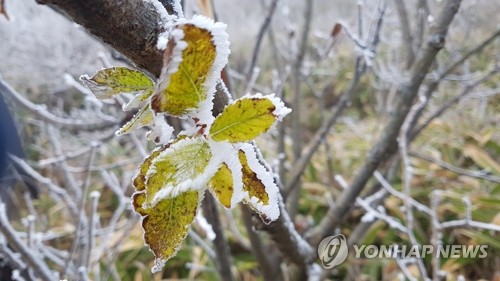 [픽! 무주] 덕유산 정상 올가을 첫 '상고대' 관측