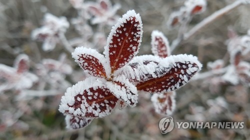 [픽! 무주] 덕유산 정상 올가을 첫 '상고대' 관측