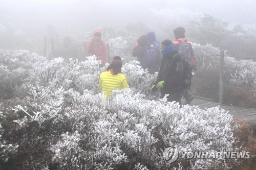 깊어가는 가을정취 만끽하자…추운 날씨 속 유명산·관광지 북적