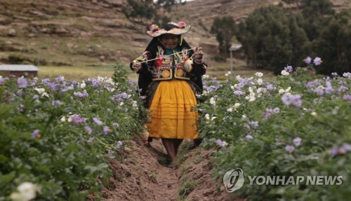 울주세계산악영화제 상영작 '땅의 어머니'