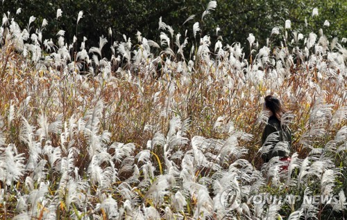 '10월의 끝에서' 남쪽으로 내려온 단풍 절정…유명산마다 북적